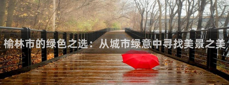 新浪新闻新宝gg