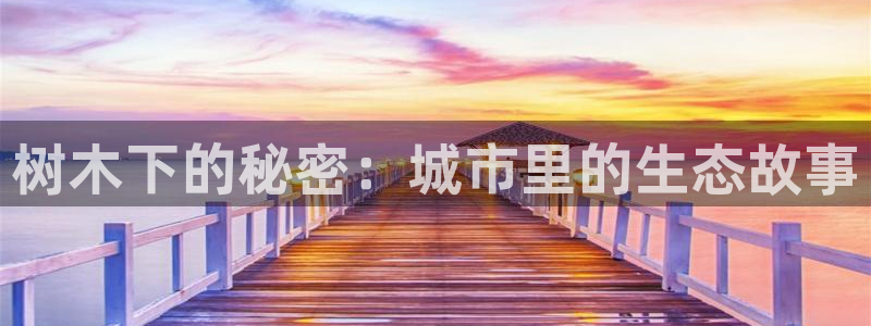 新宝gg注册登录网址