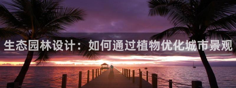 认准新宝gg