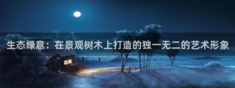 新宝gg 创