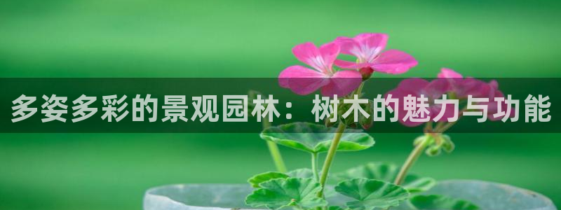 新宝gg娱乐登录地址
