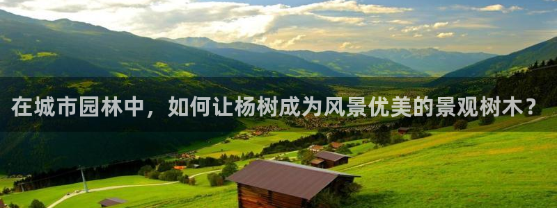 新宝gg开奖