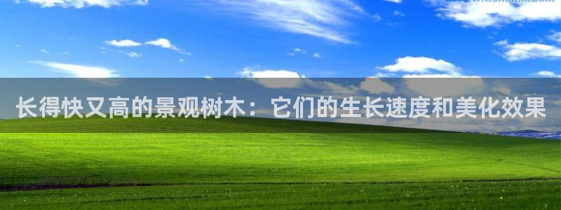 新宝 gg最新