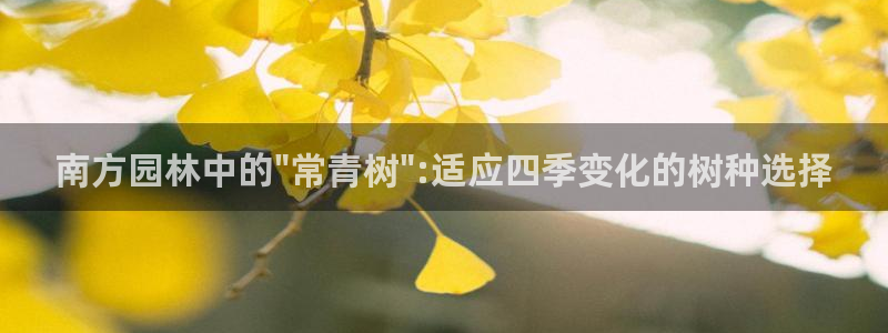 新宝太阳gg