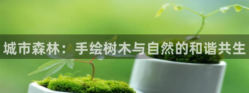 旧版新宝GG