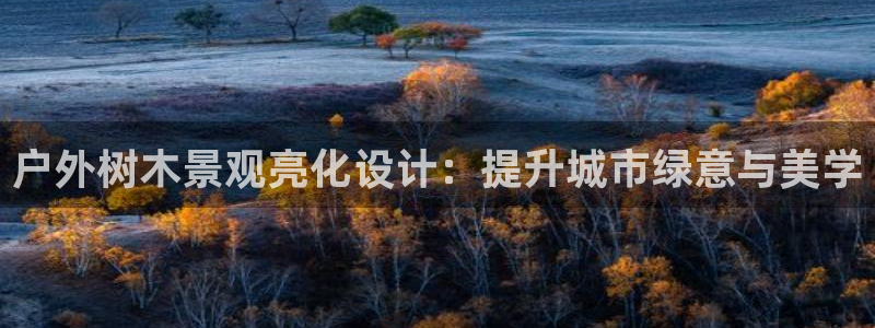 新宝gg找回账号