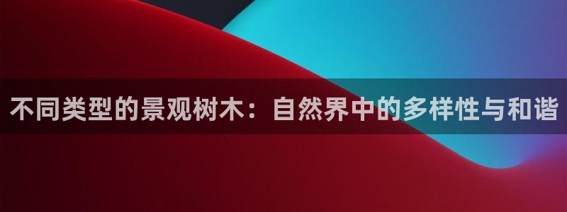 新宝GG主管41333