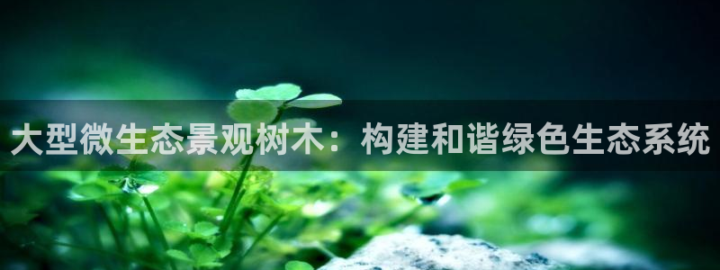 新宝 gg创造