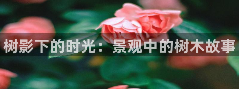 下载新宝gg