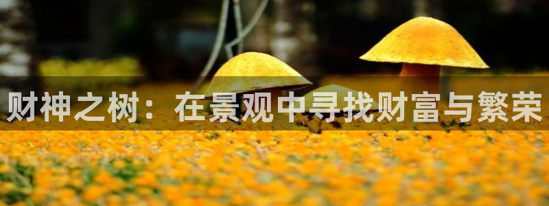 新宝GG最高返点多少