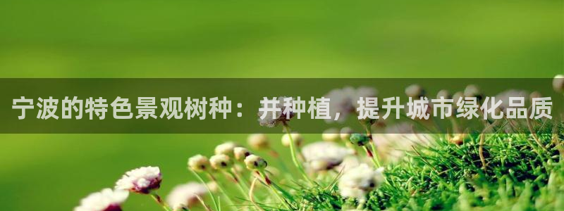 新宝GG上级