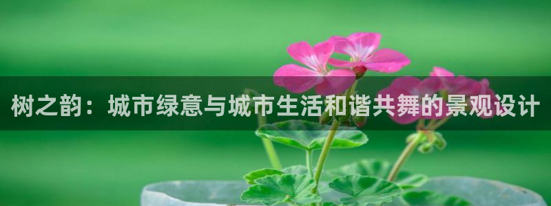 新宝奇迹GG