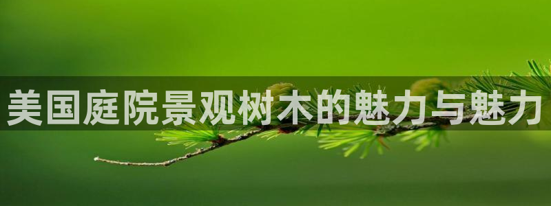 新宝gg主管花木兰