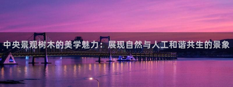 新宝gg手机app