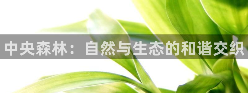 新宝gg找回账号