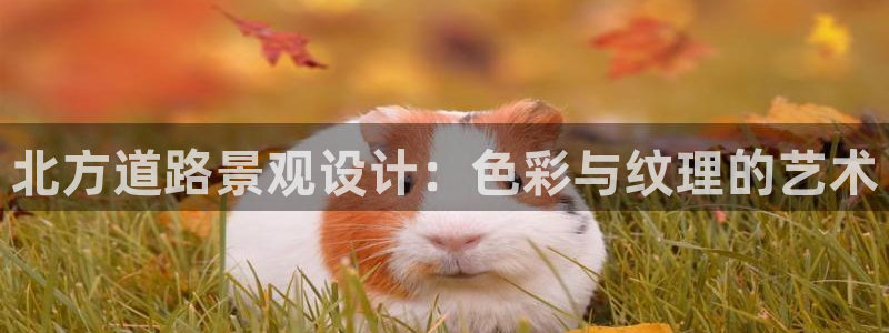 新宝gg 彩票