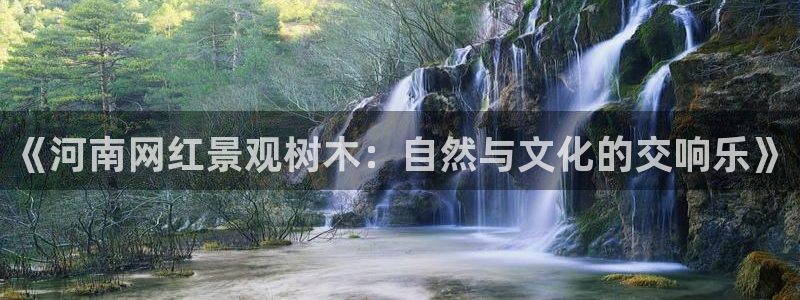 新宝gg 内部 8