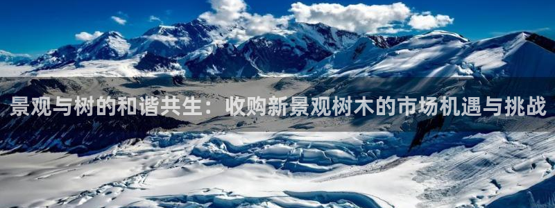 新宝gg反水