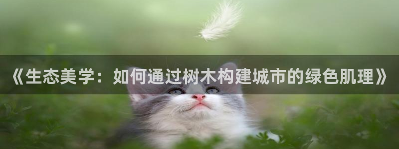 手机新宝gg