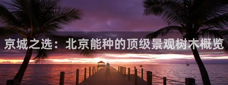 新宝 gg .com