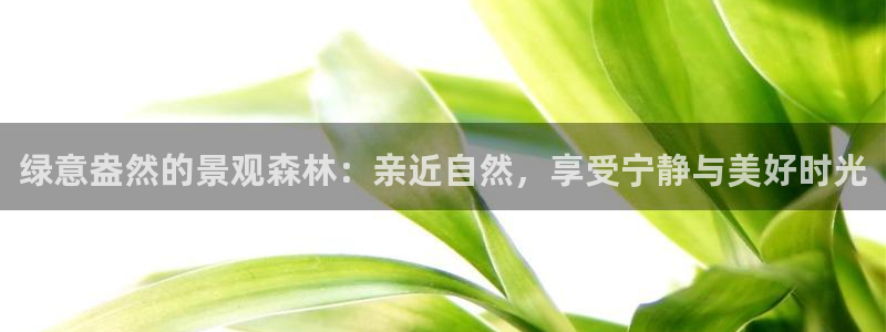 新宝gg软件