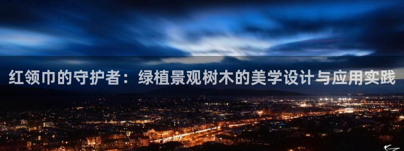 新宝gg挂机软件下载