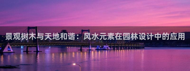 新宝gg玩法