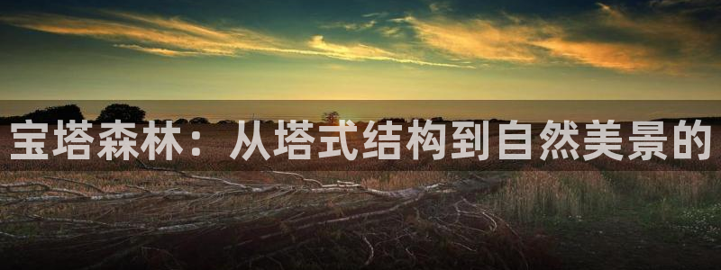 新宝gg平台开户