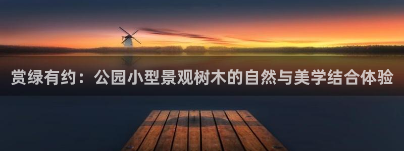 新宝gg用哪个浏览器