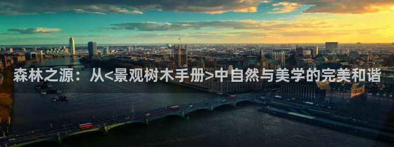新宝gg官网
