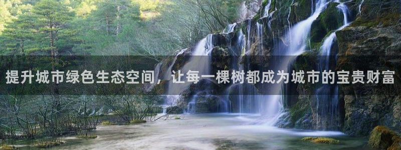 新宝gg盈亏