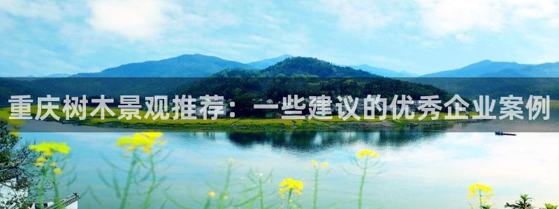 新宝六与新宝gg