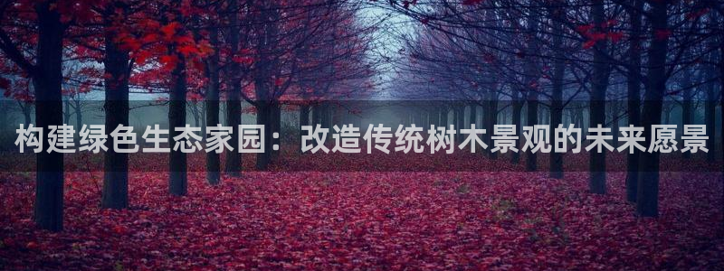 新宝gg是新宝几