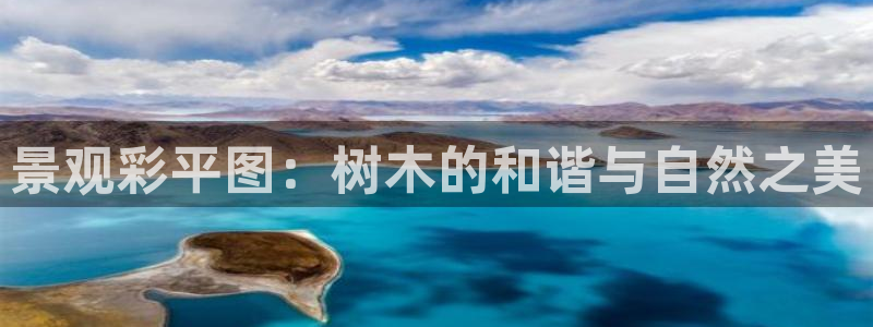新宝平台gg：景观彩平图：树木的和谐与自然之美