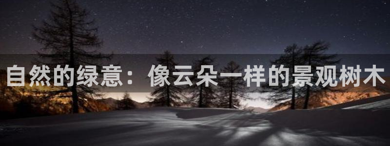 新宝Gg测速地址