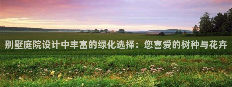 新宝gg创造奇迹登陆