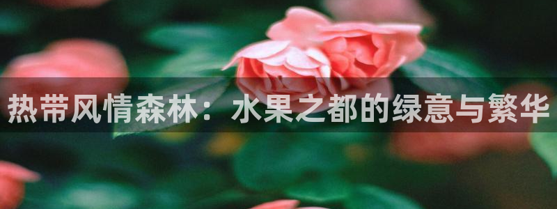 新宝GG娱乐-上皇巢网