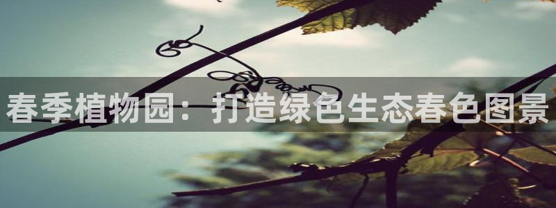 新宝gg开户