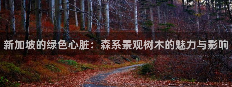 新宝给gg
