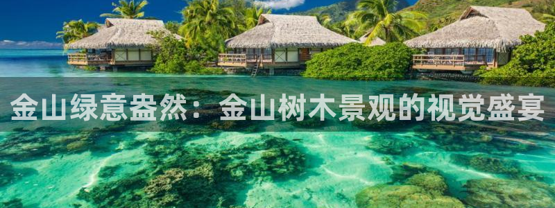下载新宝gg怎么下载