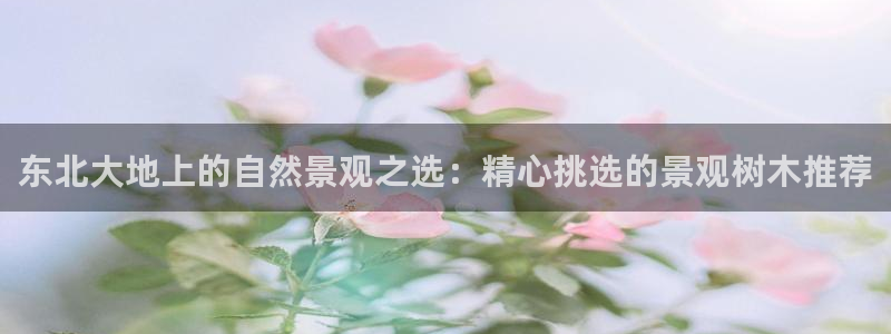 新宝gg和新宝5：东北大地上的自然景观之选：精心挑选的景观树木推荐