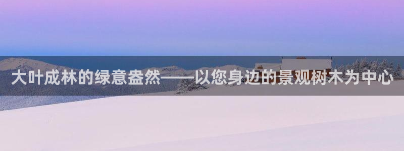 广东新宝电器gg