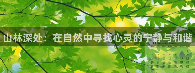 新宝gg 登陆