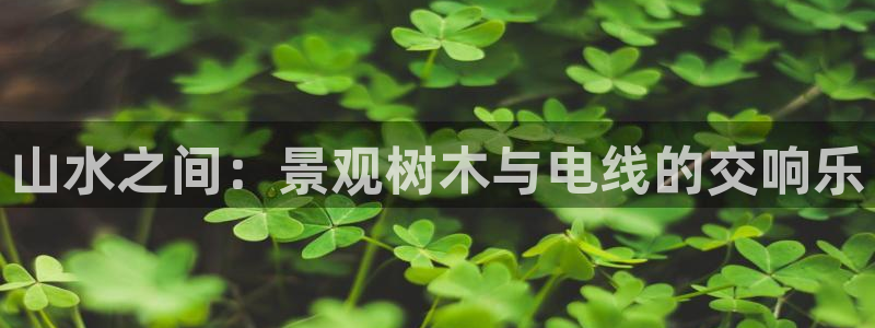 新宝gg代：山水之间：景观树木与电线的交响乐