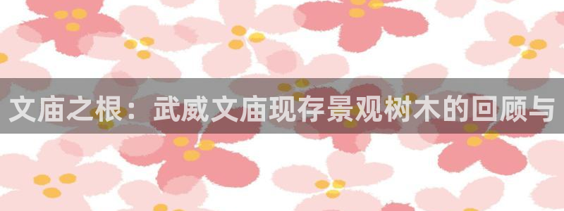 新宝gg赚钱