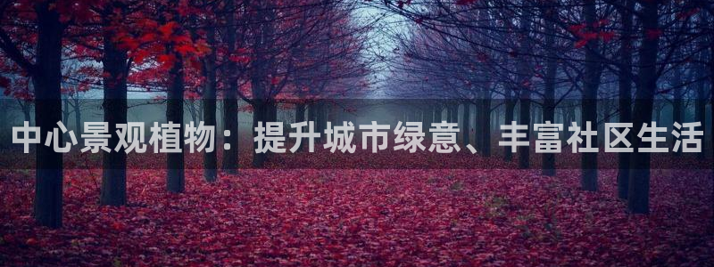 新宝gg — 创造!