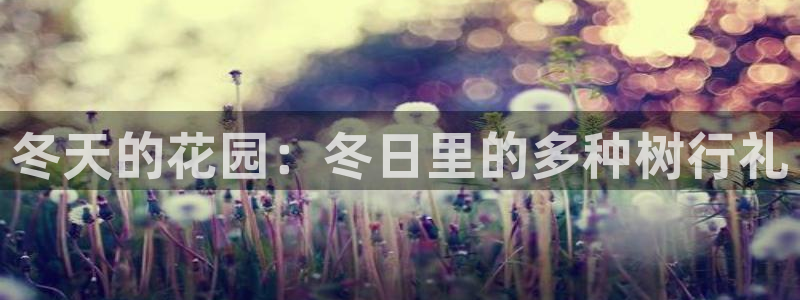 新宝gg创造