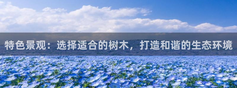 新宝GG—创造奇迹