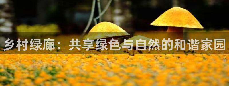 新宝gg画：乡村绿廊：共享绿色与自然的和谐家园