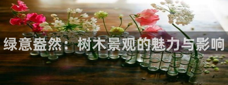 新宝gg咨询55312